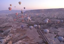 Sumptuous Seafood Creations