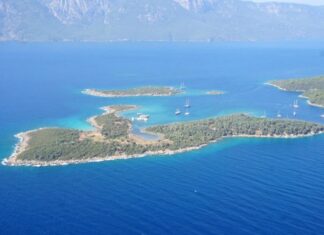 The Troubling Reign of King Alexander