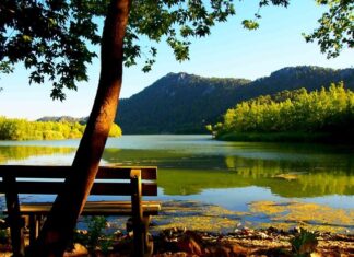 Egyptian Claims About Cambyses’ Origin